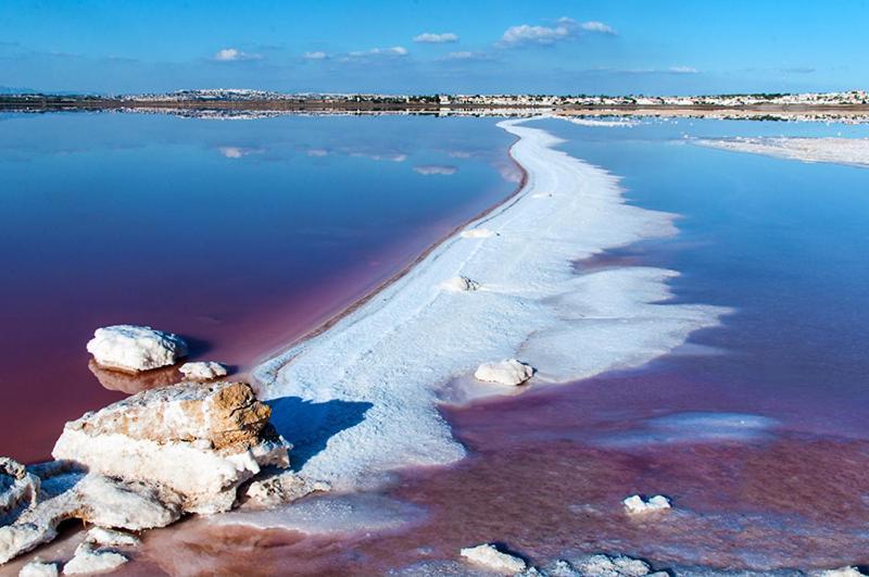 Torrevieja Experience San Julian Διαμέρισμα Εξωτερικό φωτογραφία
