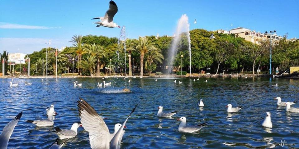 Torrevieja Experience San Julian Διαμέρισμα Εξωτερικό φωτογραφία